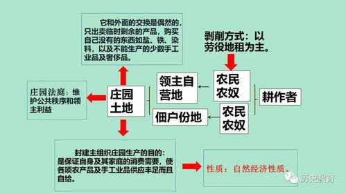 西欧经济与社会发展 社会经济咨询服务的角色与演变